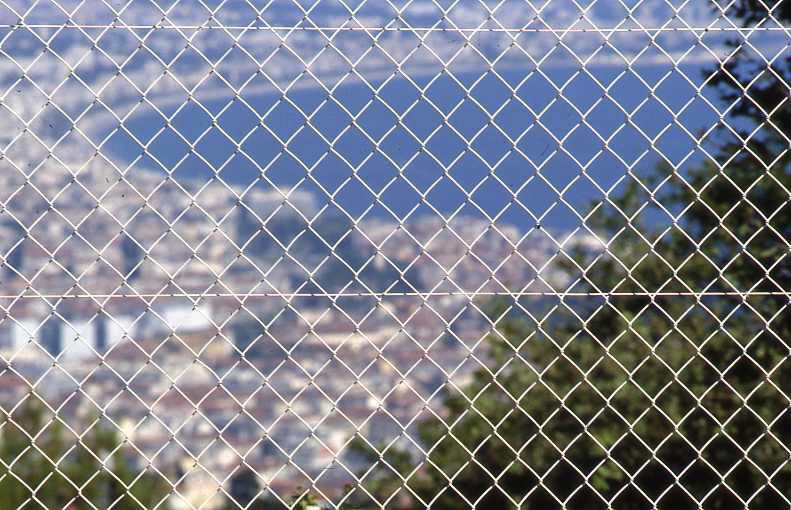 Grillage simple torsion acier galvanisé fil Ø 2 mm maille 50 mm