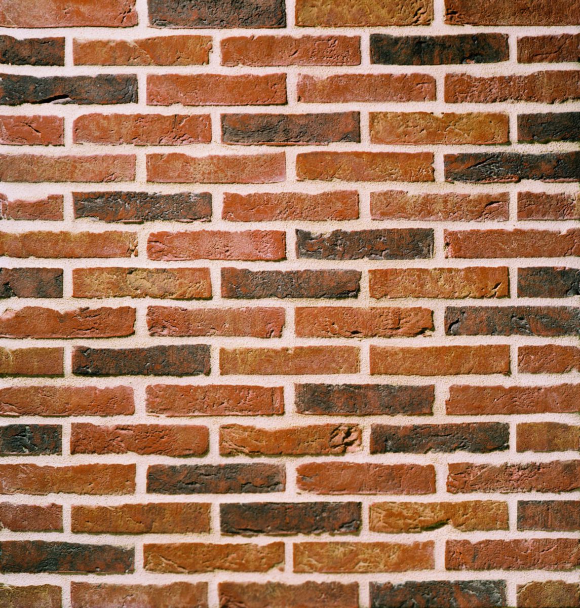 Brique pleine terre cuite Pastorale - 220x102x50 mm - TERCA