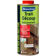 Trait'découp 1 litre vert autoclave