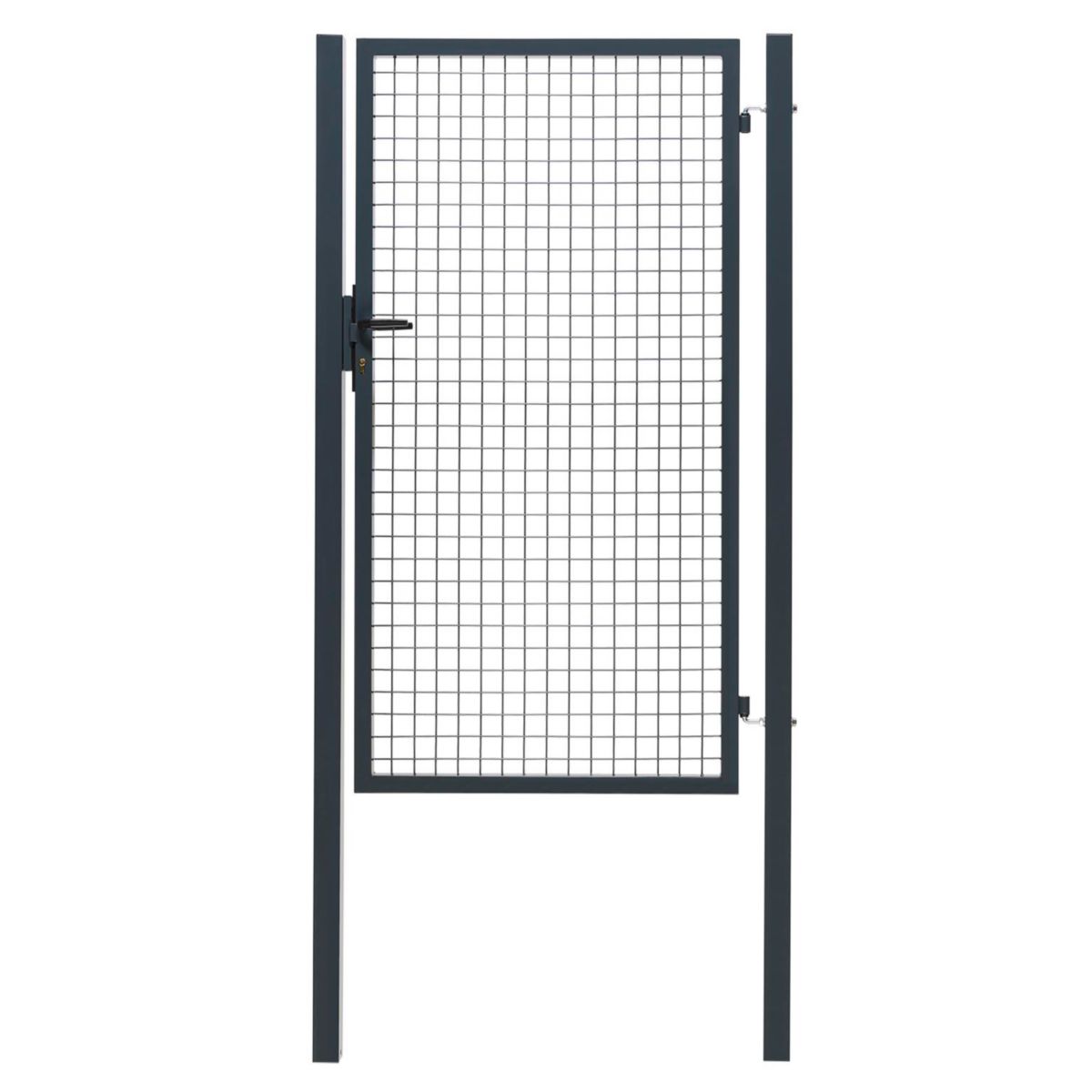 Damian-Wiklina Portillon En Noisette, Portillon Vers La Clôture En